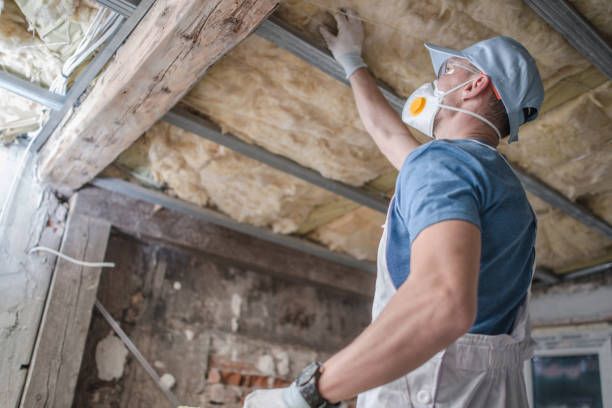 Best Insulation Maintenance and Repair in Yale, MI