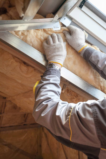 Professional Insulation Contractor in Yale, MI